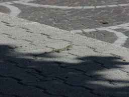 bild 086